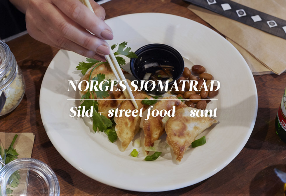 Norges sjømatråd: Sild + street food = sant!